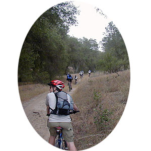 Mountain Biking in Limestone Canyon